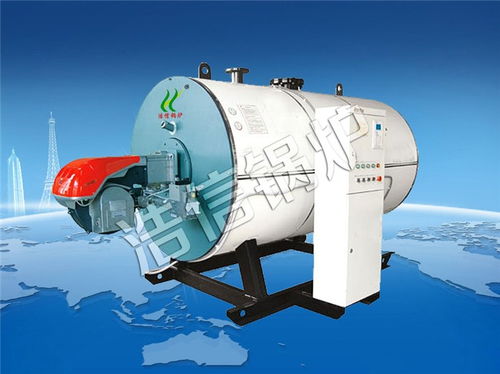 燃油熱水鍋爐供應(yīng) 湖北燃油熱水鍋爐 浩信鍋爐服務(wù)好