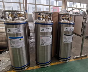 195l杜瓦罐廠家 杜瓦罐 山東耐捷科技